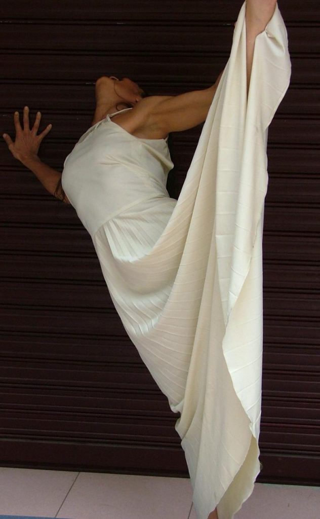 Provisional Danza
