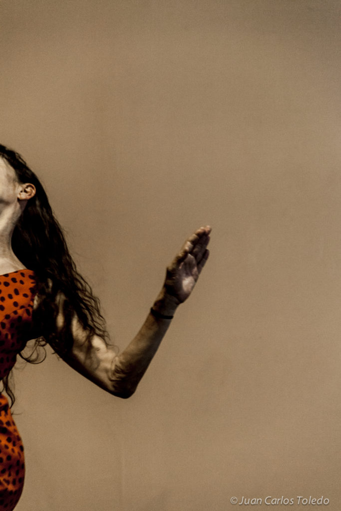 Provisional Danza: Some Day. Carmen Werner. Image: Juan Carlos Toledo.