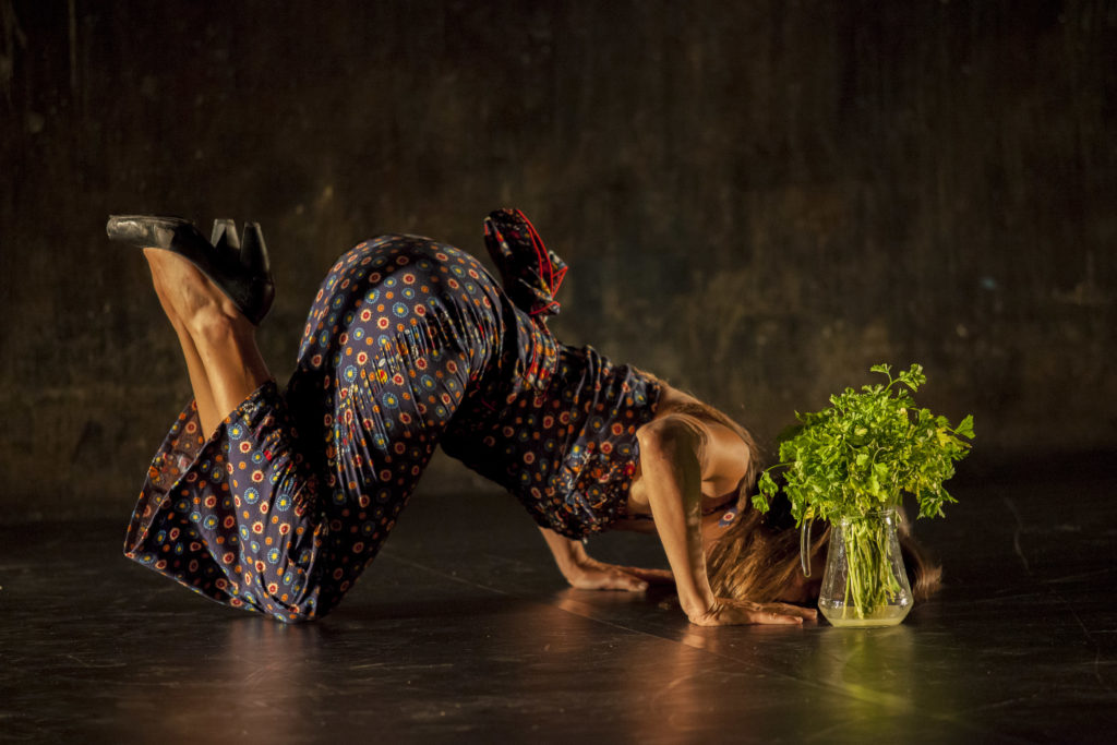 Provisional Danza: Some Day.