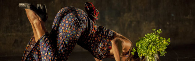 Provisional Danza: Some Day.