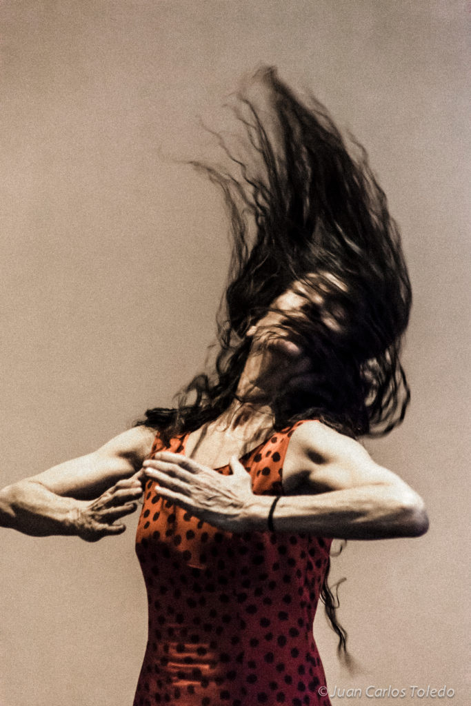 Provisional Danza: Some Day. Carmen Werner. Image: Juan Carlos Toledo.