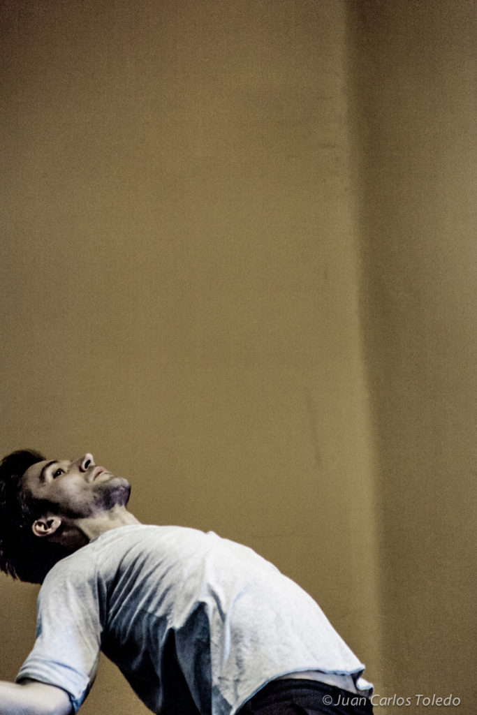 Provisional Danza: Some Day. Image: Juan Carlos Toledo.