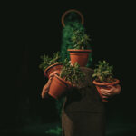 La Miel. Provisional Danza.