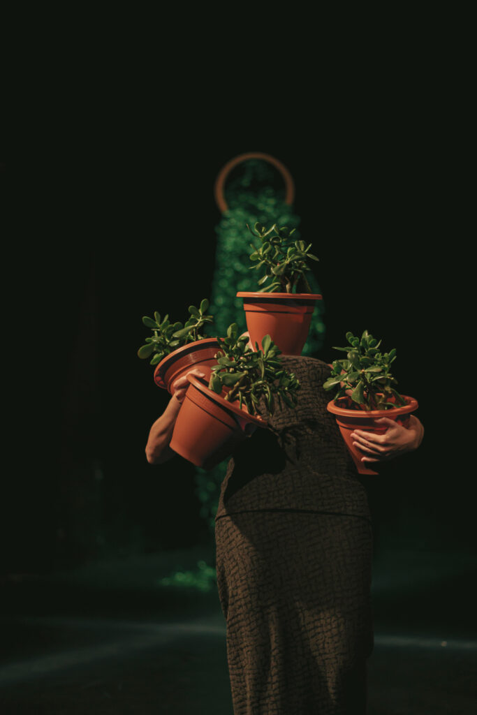 La Miel. Provisional Danza.