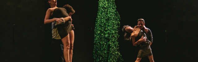 La Miel. Provisional Danza.