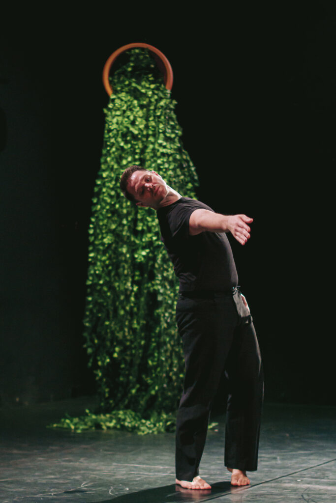 La Miel. Provisional Danza.