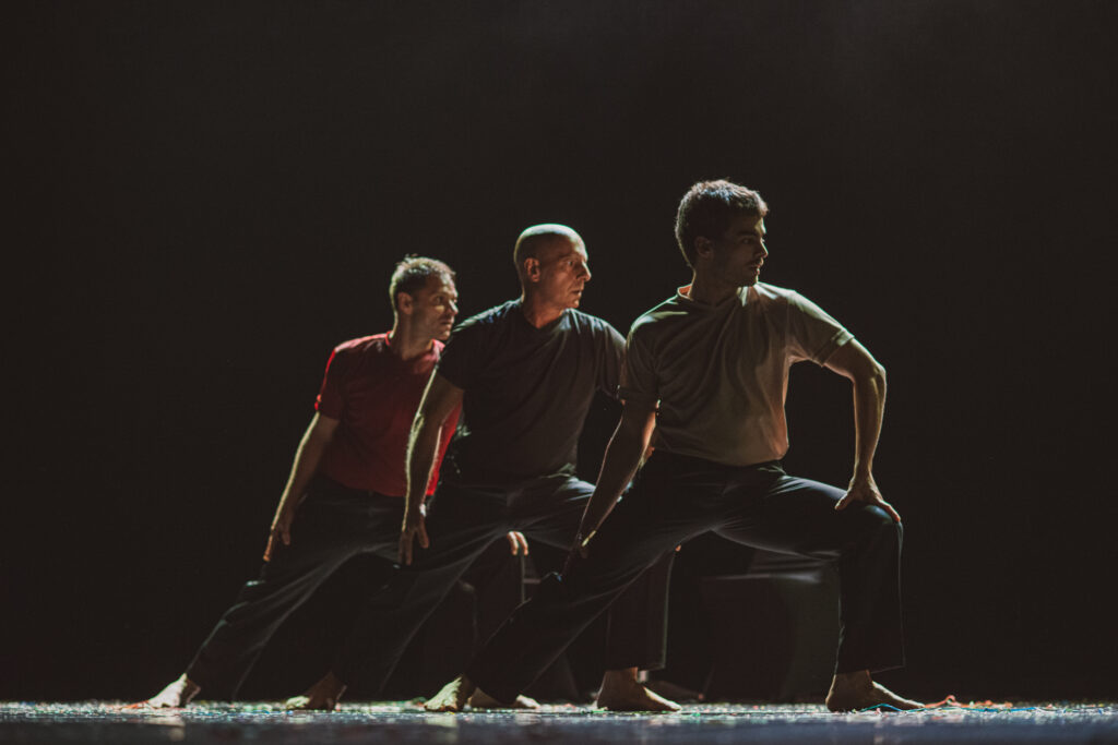 Todo lo bueno ocurre en silencio. Provisional Danza.