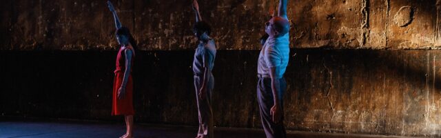 Danza contemporánea. Carmen Werner. Provisional Danza.