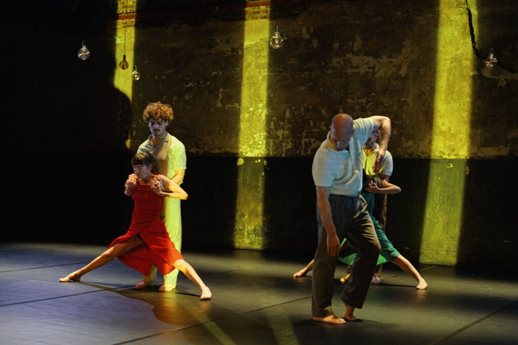 Danza contemporánea. Carmen Werner. Provisional Danza.