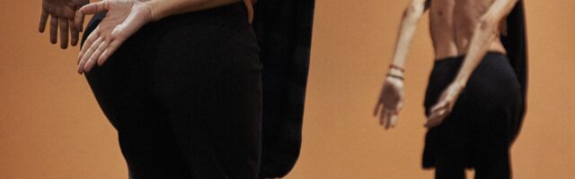 Acerina H. Toledo y Carmen Werner