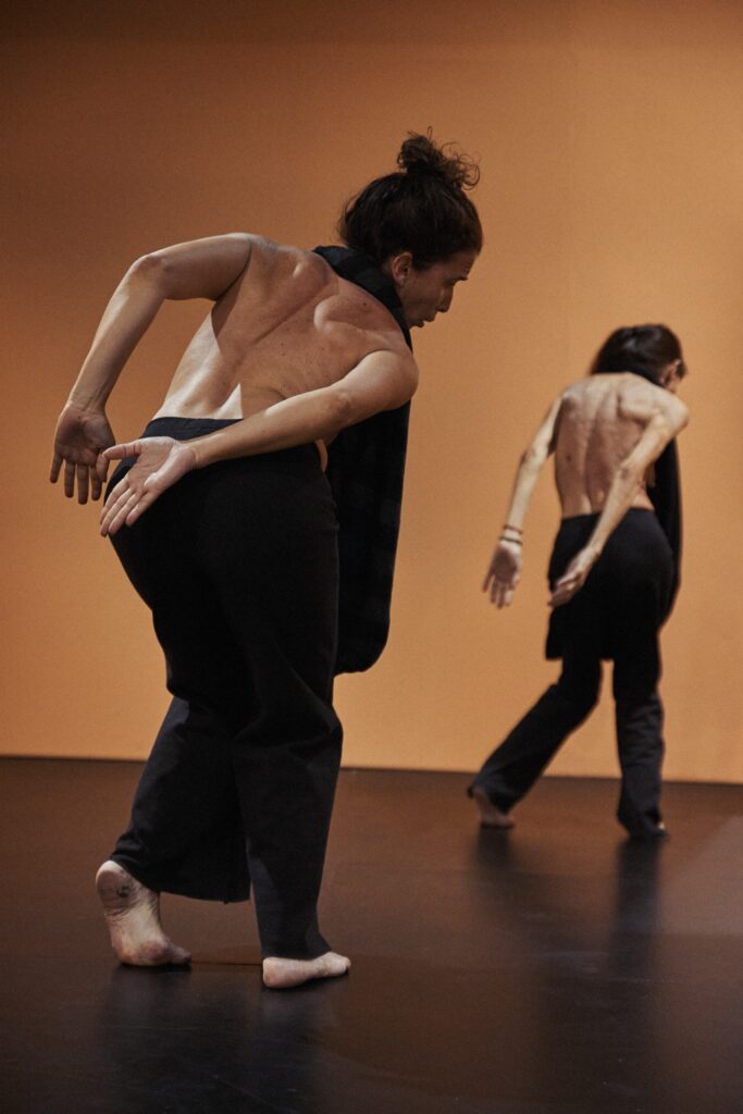 Acerina H. Toledo y Carmen Werner