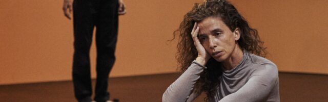 Acerina H. Toledo y Carmen Werner