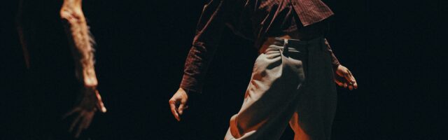 Delicada caída. Provisional Danza.